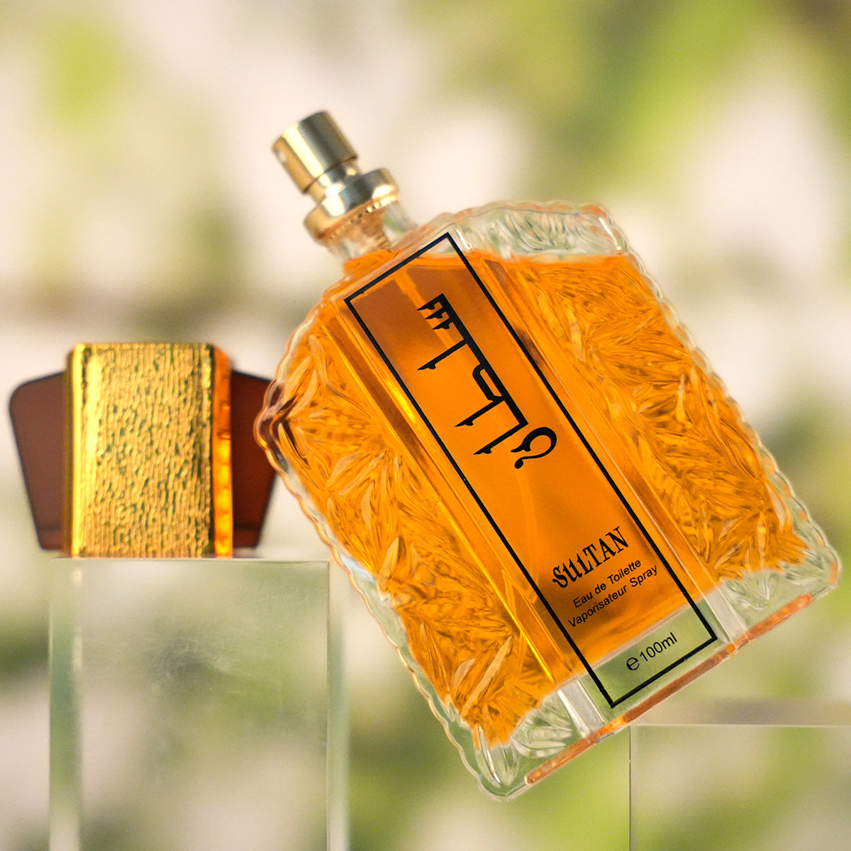 100ml Luxury Niche Fragrance – Long-Lasting Perfume for Men & Women - Astoxia Official