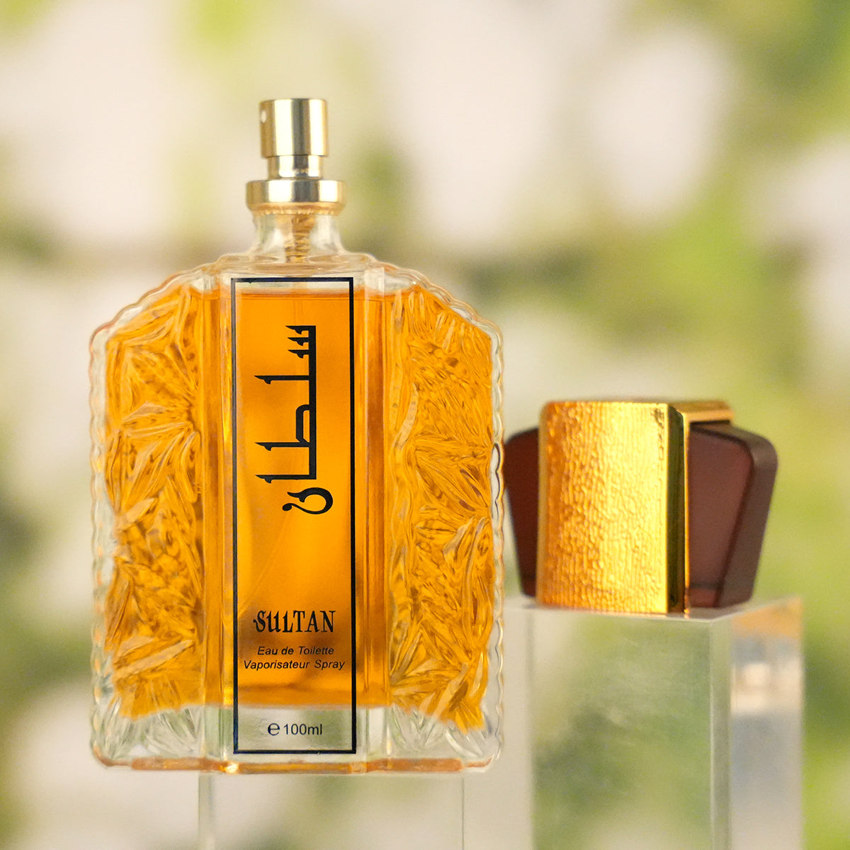 100ml Luxury Niche Fragrance – Long-Lasting Perfume for Men & Women - Astoxia Official